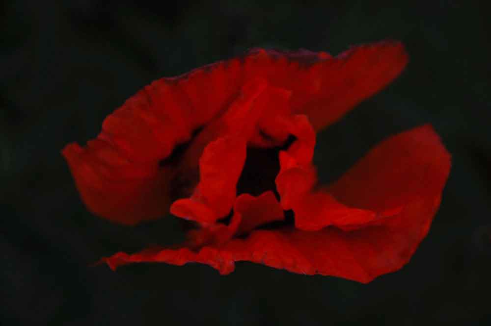 image02
